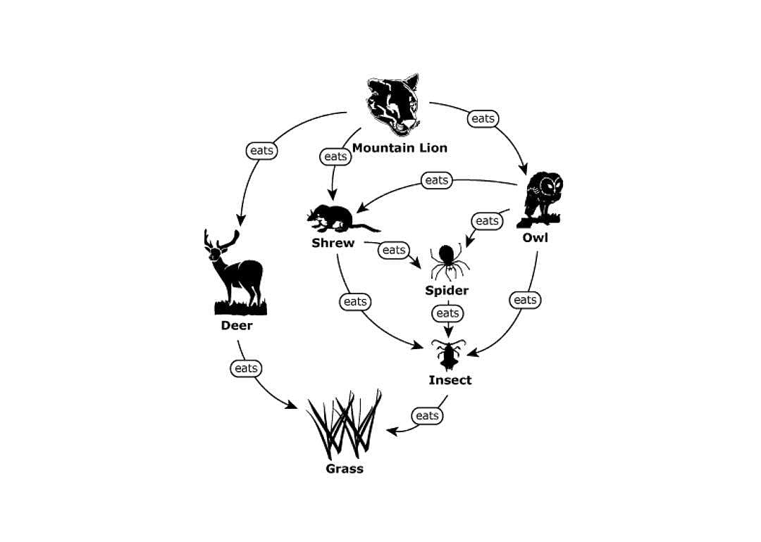 Question #30 (Science)