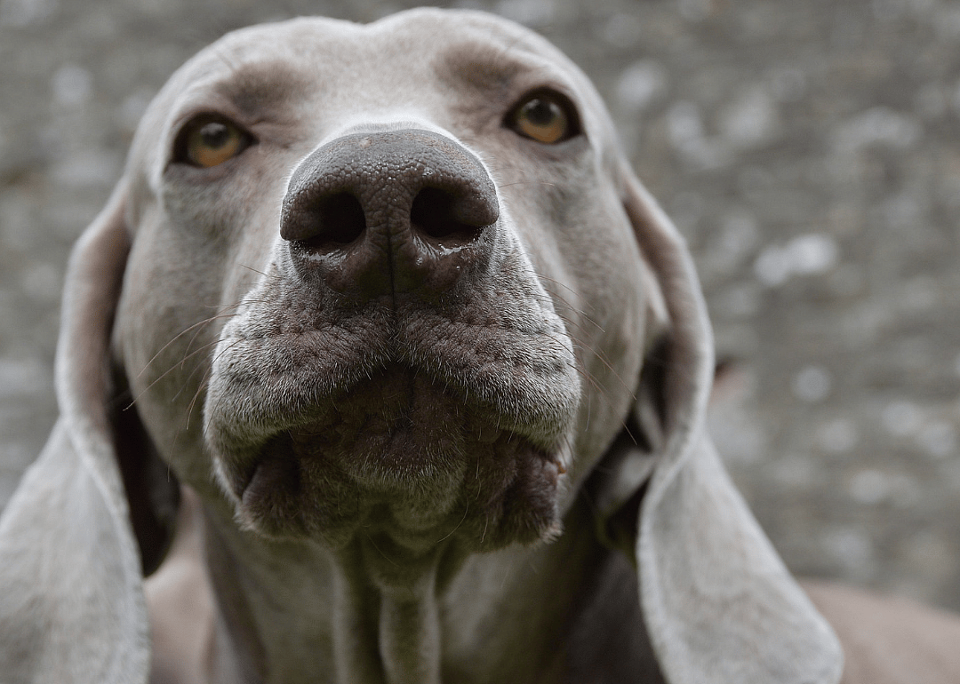 #11. @harlowandsage