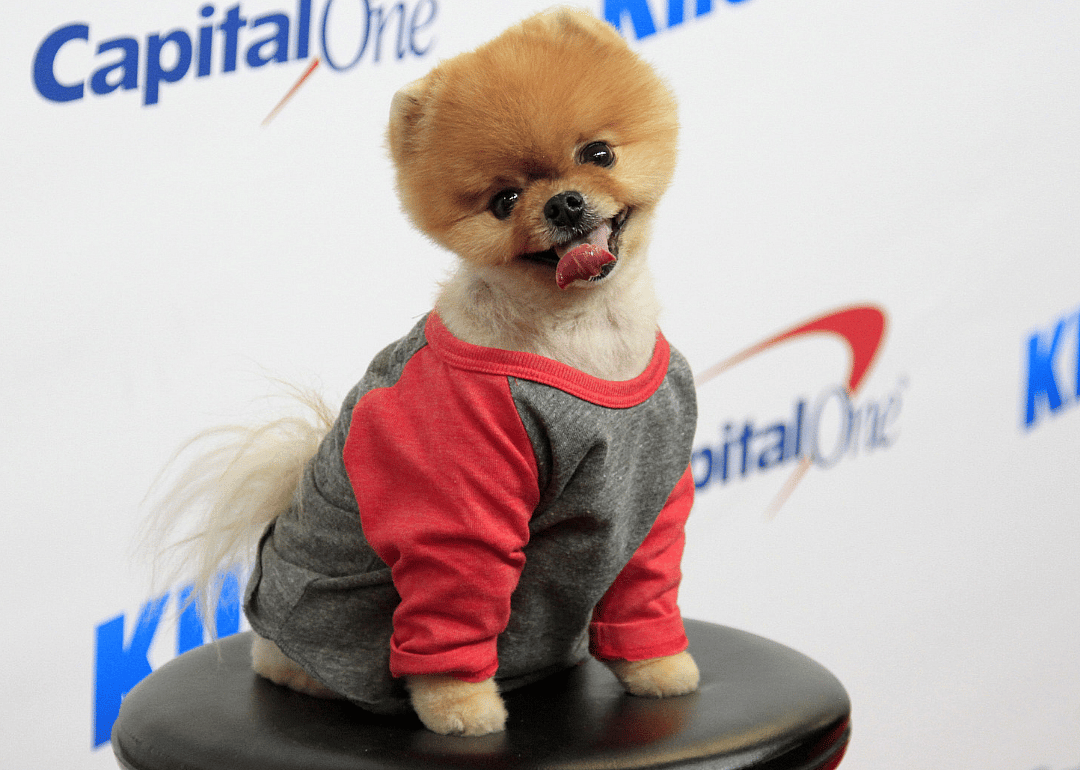 #1. @jiffpom