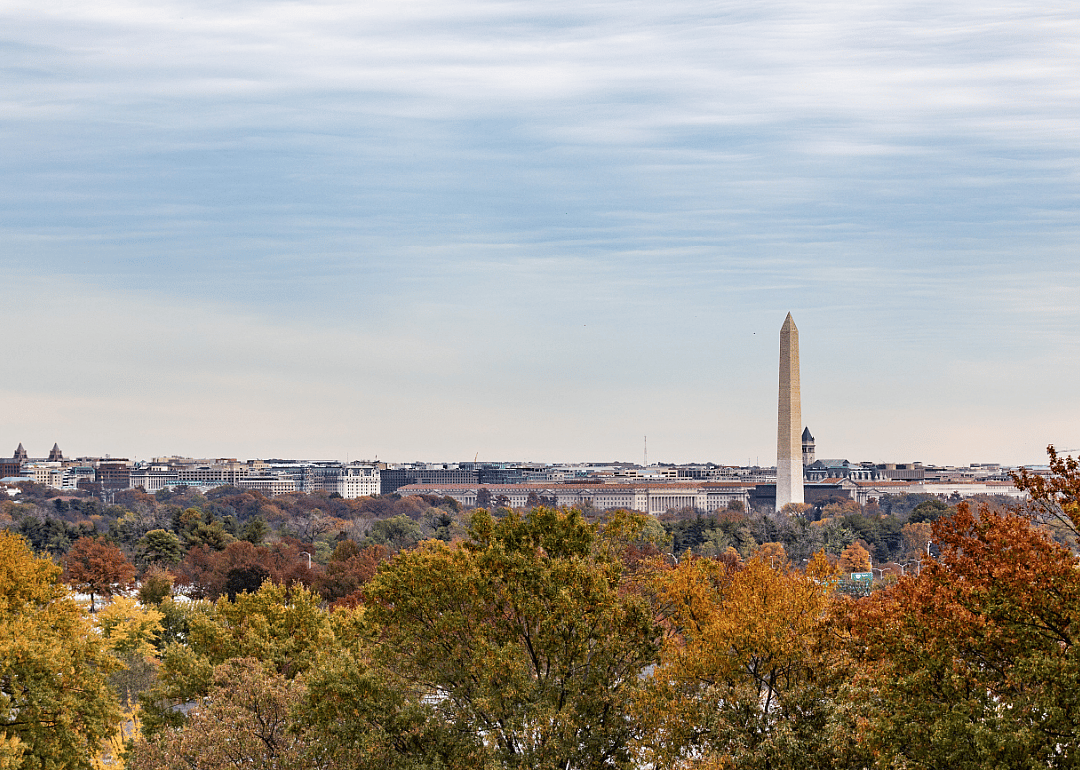 #25. District of Columbia