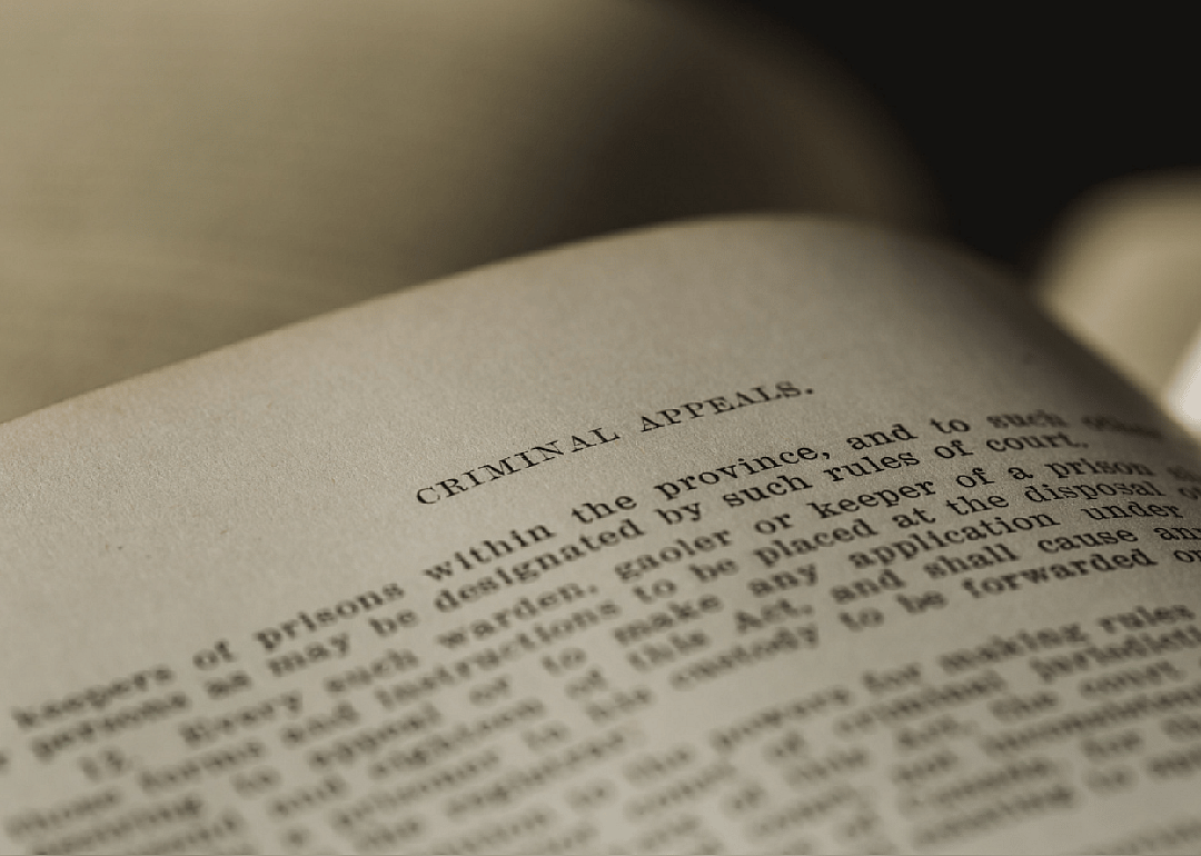 #94. Pre-law & legal studies
