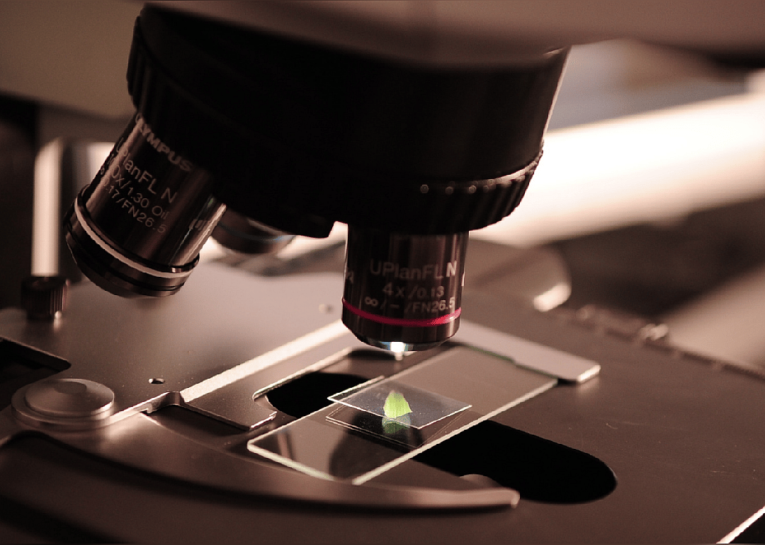 #85. Microbiology
