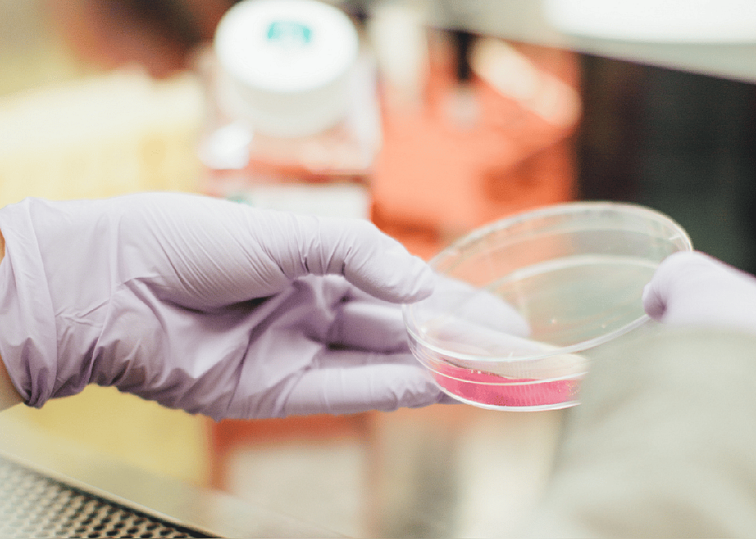 #43. Biochemical sciences