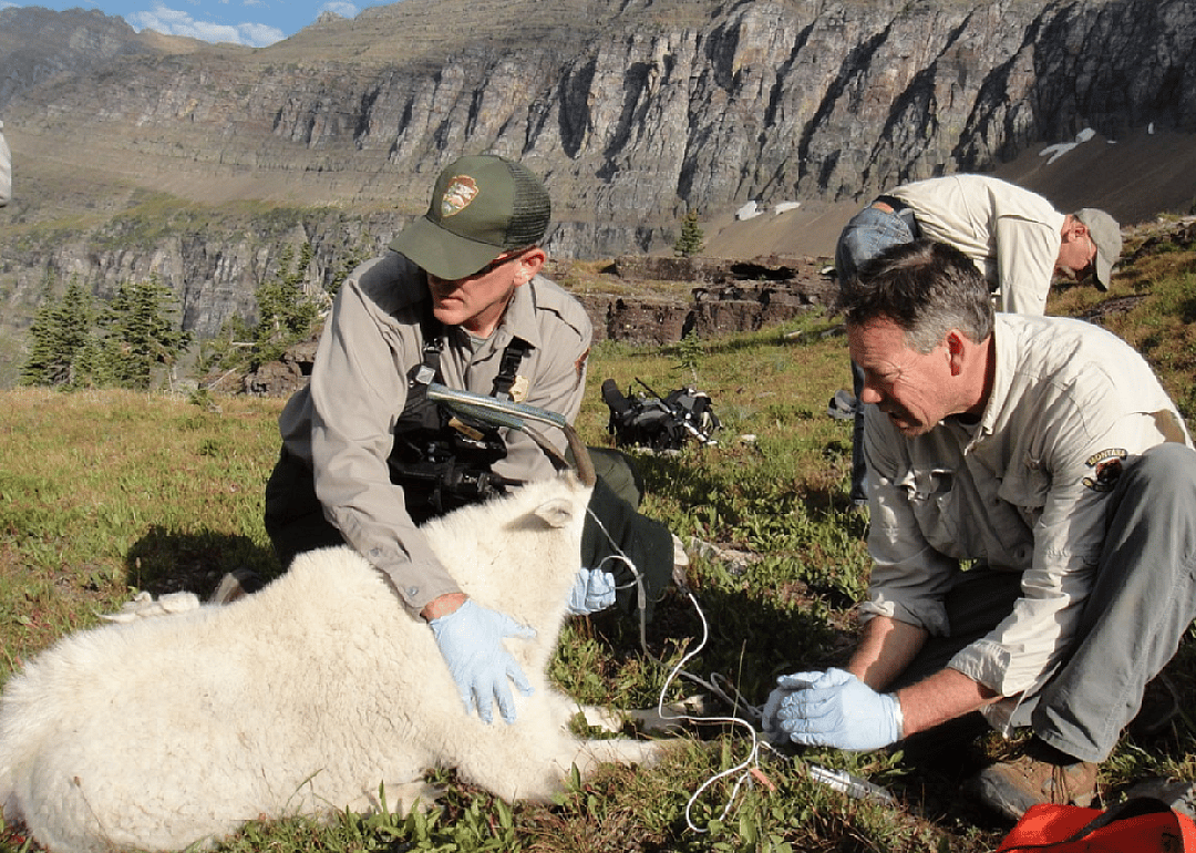 #92. Natural resources management
