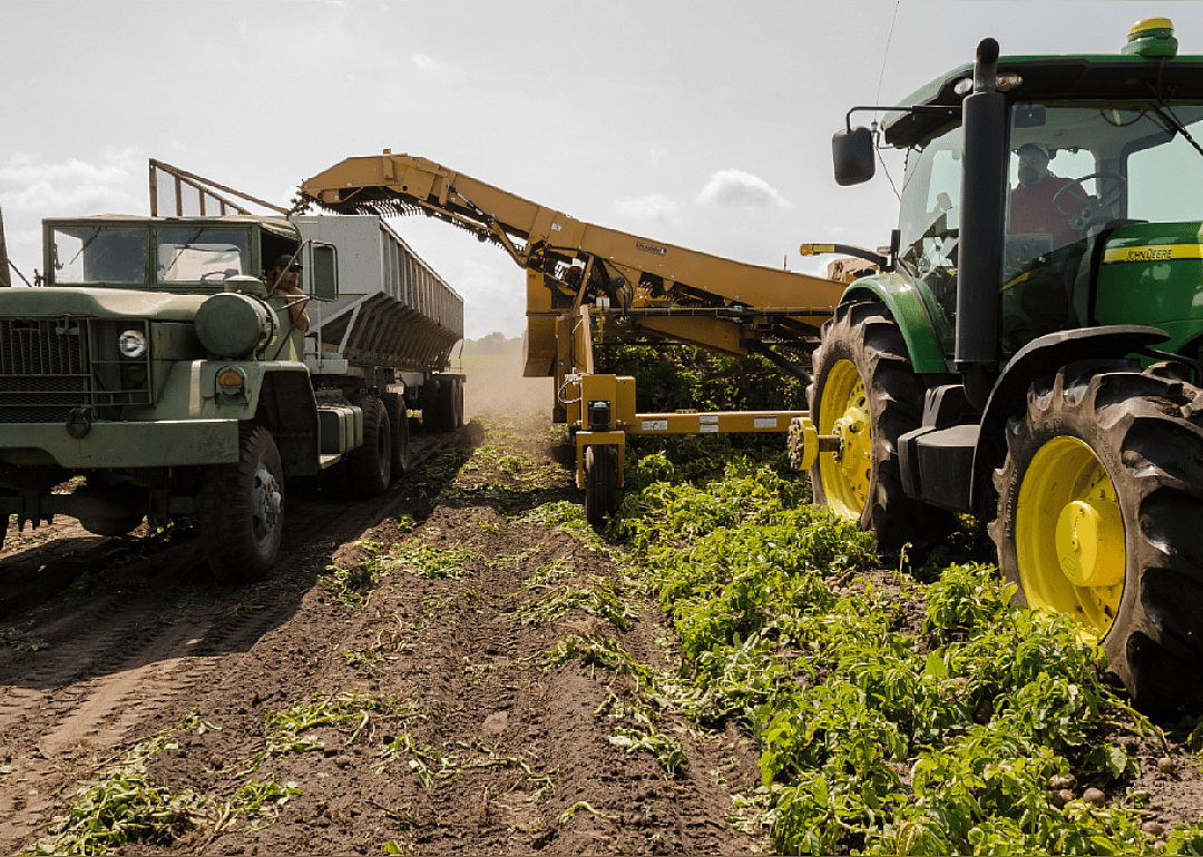 #90. Agriculture production & management
