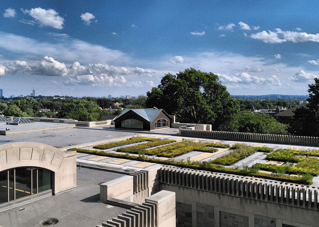 #10. Tufts University