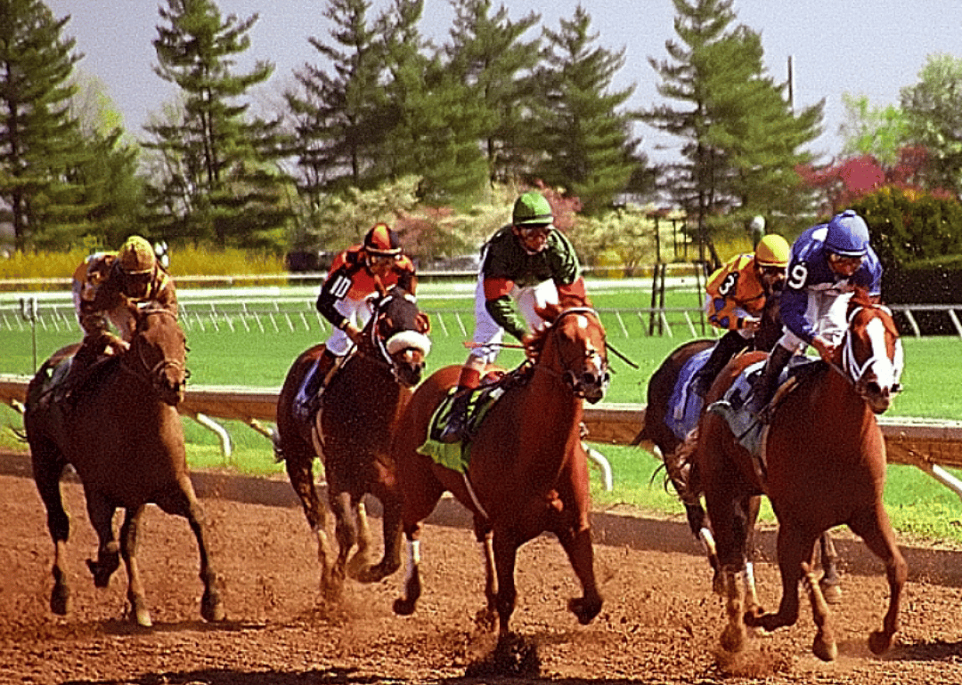 #20.  Lexington-Fayette, Kentucky