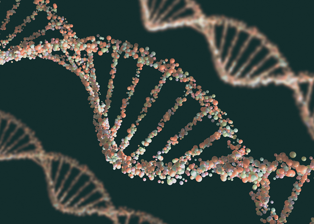 Helical structure of DNA