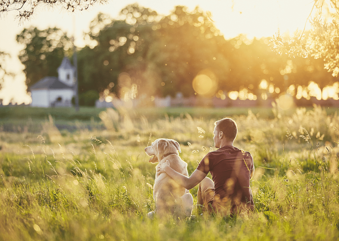 Parallel evolution of dog and human genes