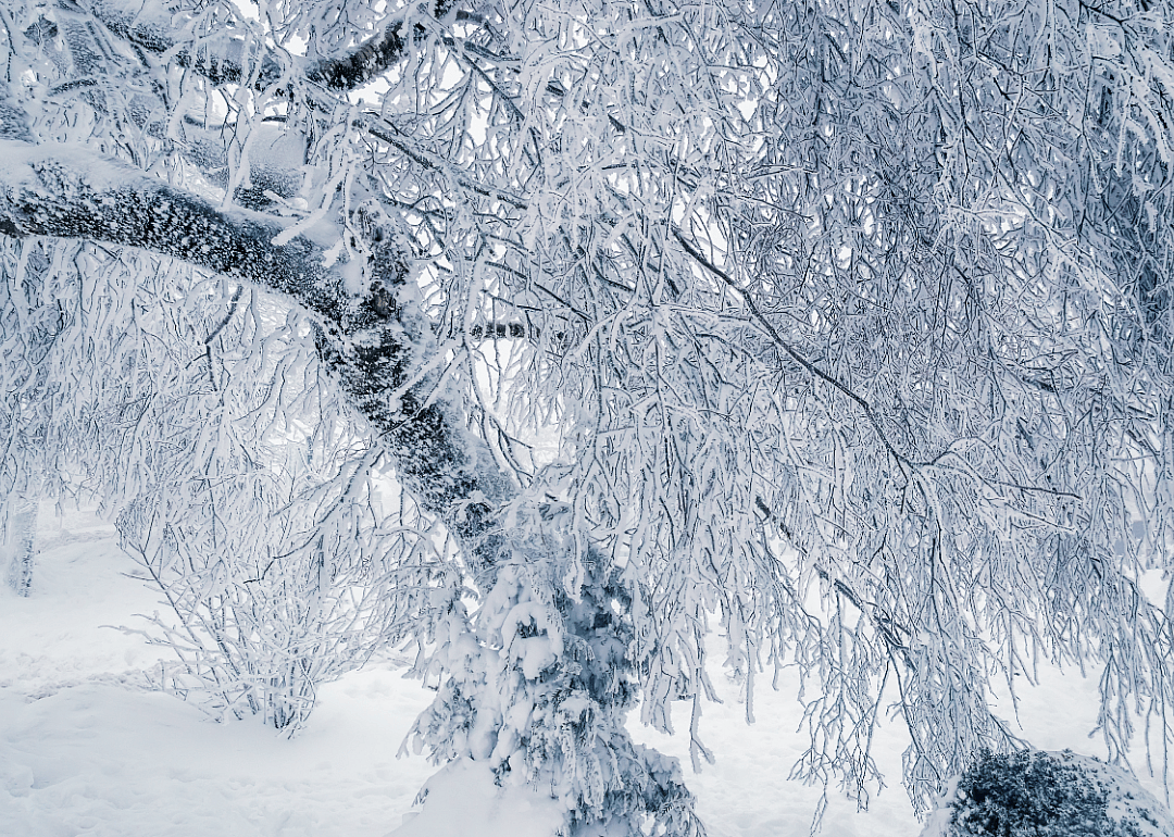 Ice storm