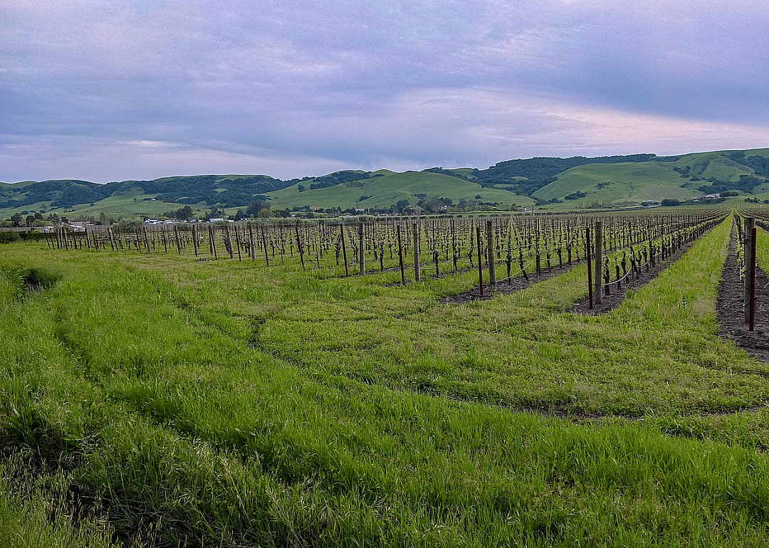 #14. Sonoma County