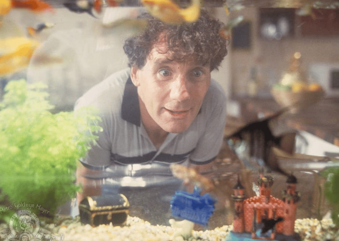 1988: A Fish Called Wanda