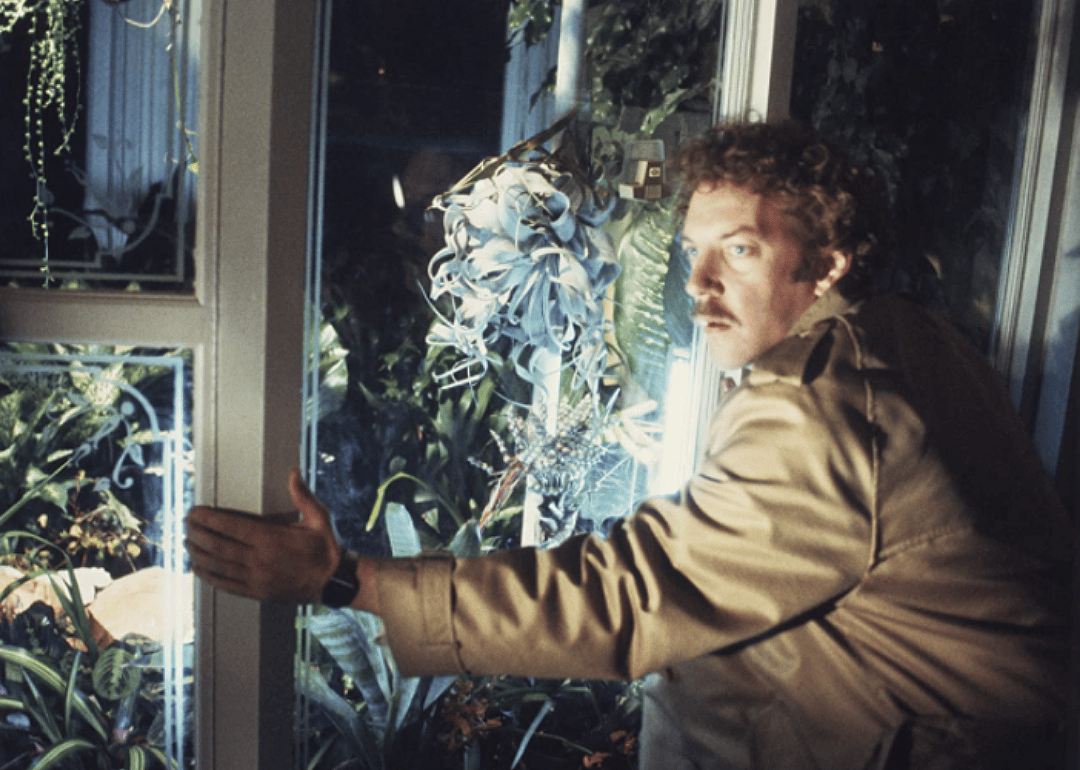 #33. Invasion of the Body Snatchers (1978)