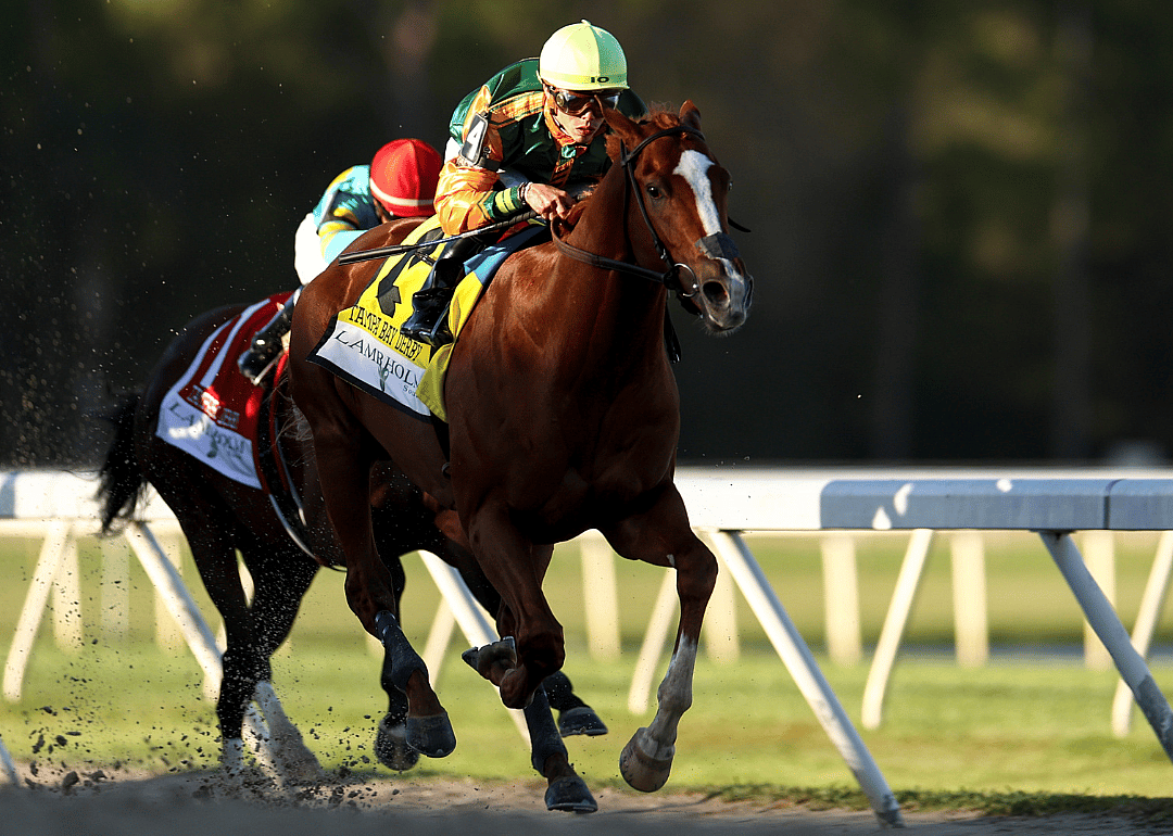 Classic Causeway competes in the Tampa Bay Derby in 2022