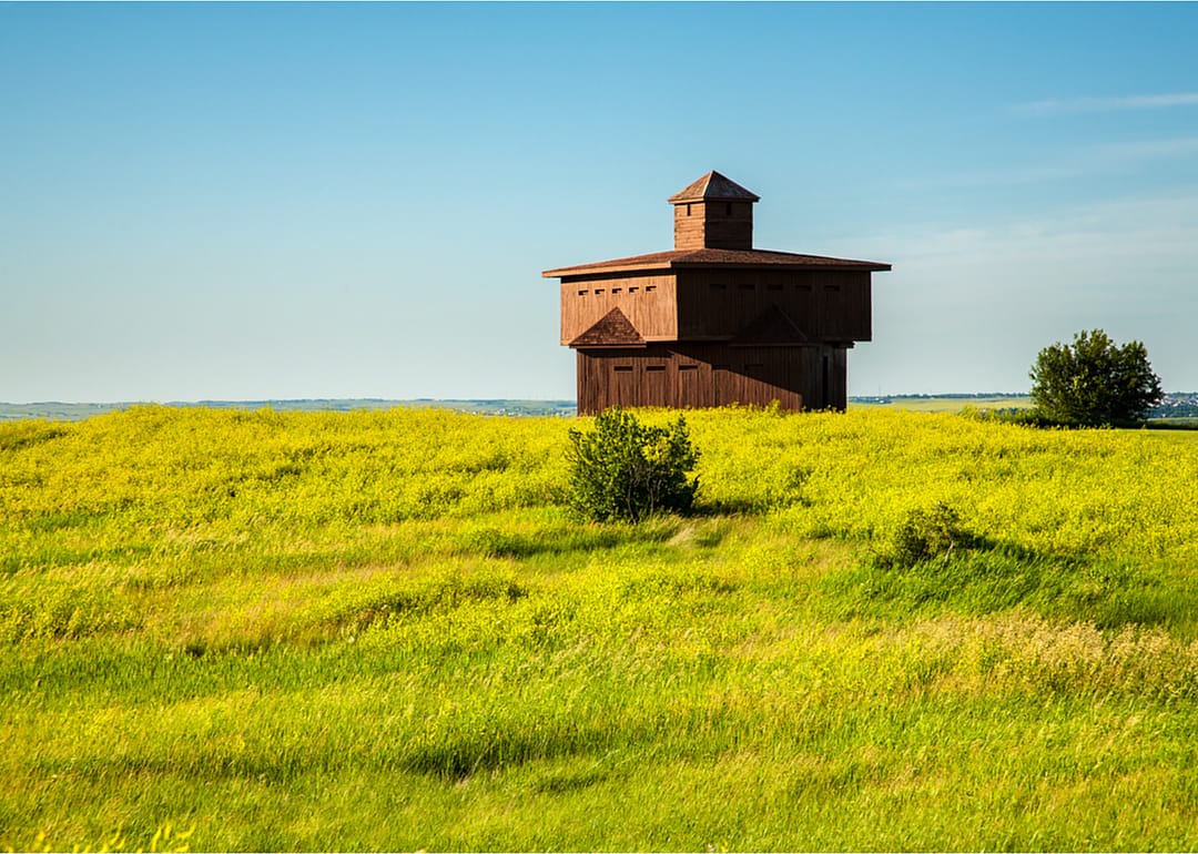 #8. Morton County