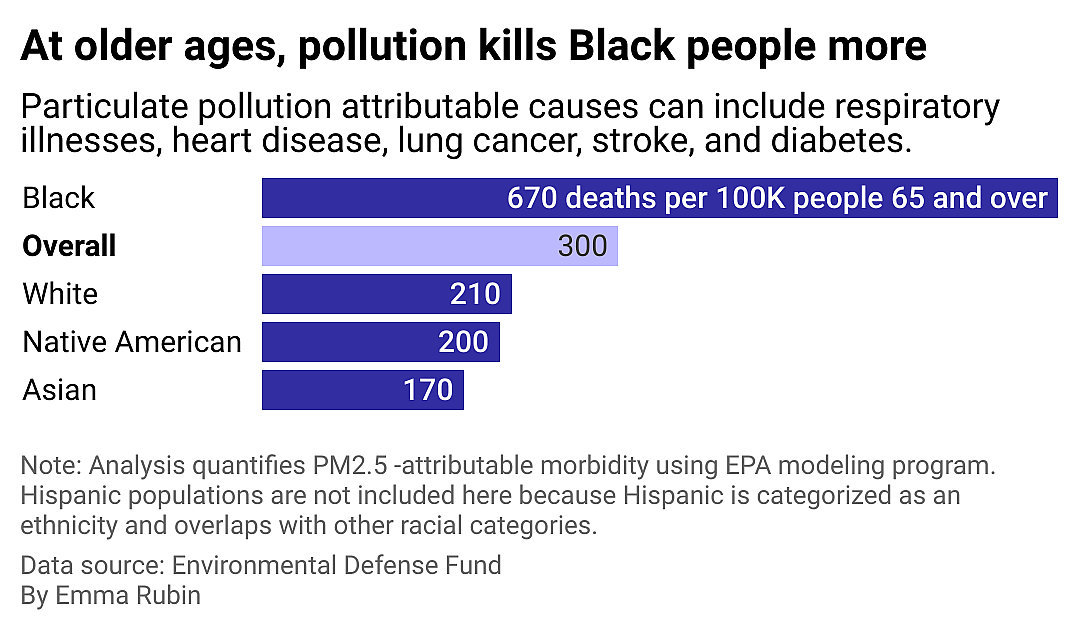 Bar chart showing higher death rate from pollution-related deaths among Black people.