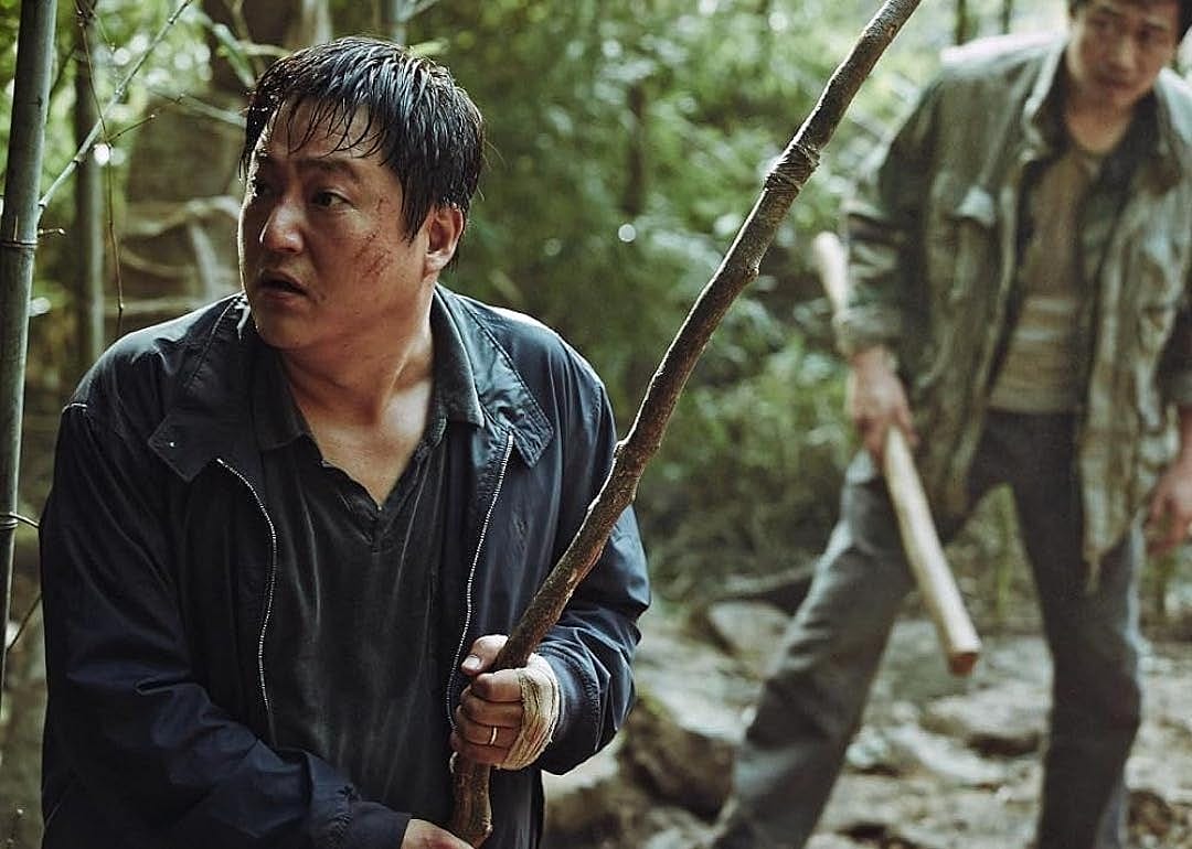 #33. The Wailing (2016)