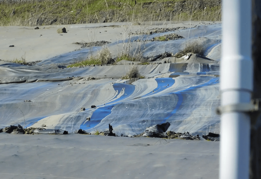 Weeds poke out from underneath the tarp-like landfill cover at Coffin Butte Landfill near Corvallis, Oregon.
