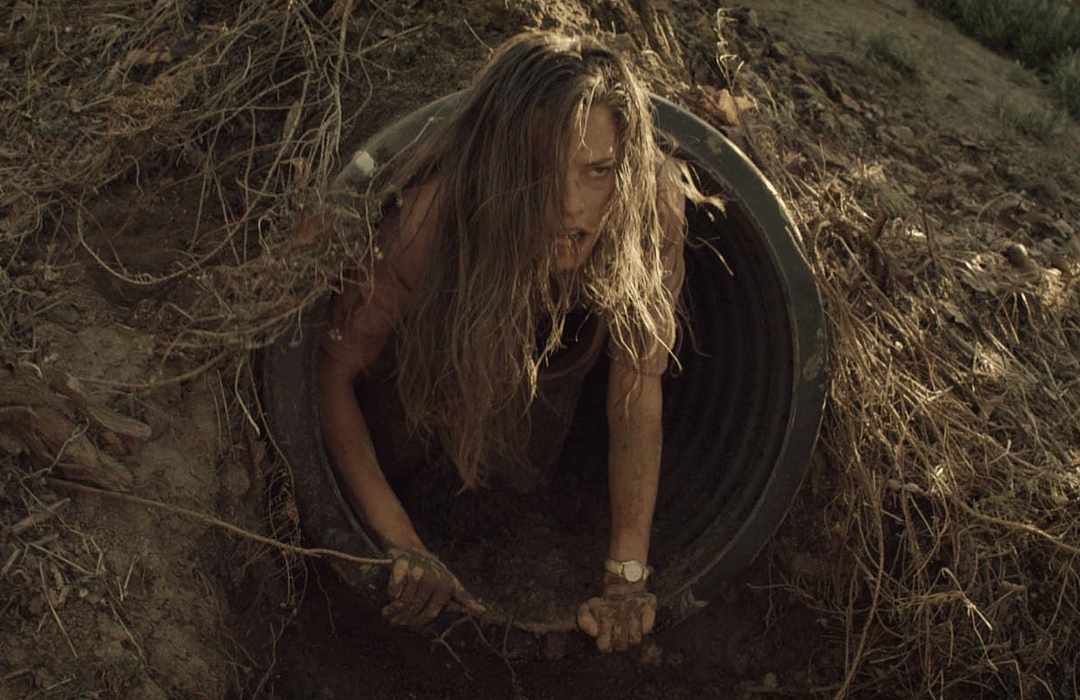 #86. Martyrs (2016)