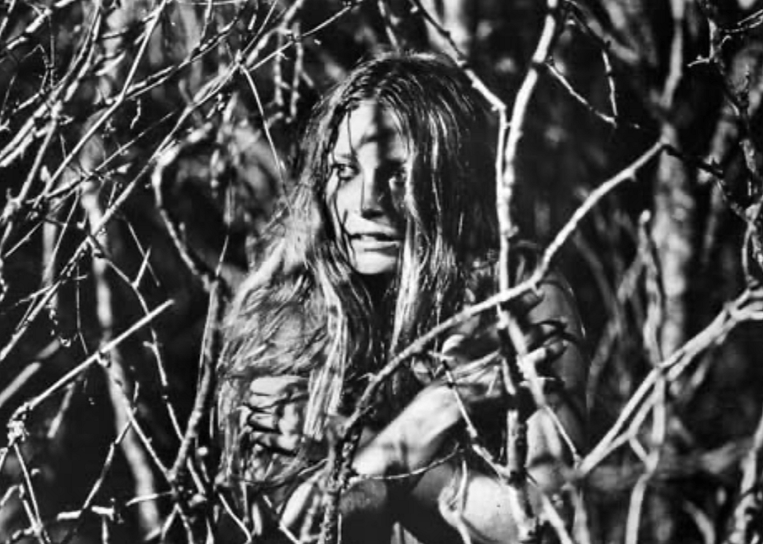 #20. The Texas Chain Saw Massacre