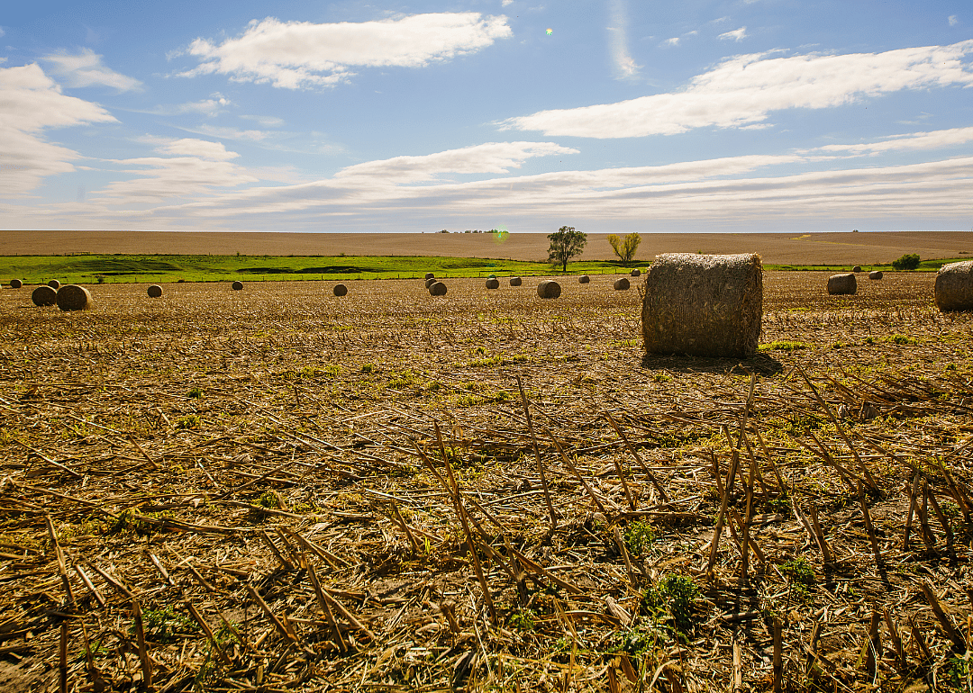 #36. Logan County