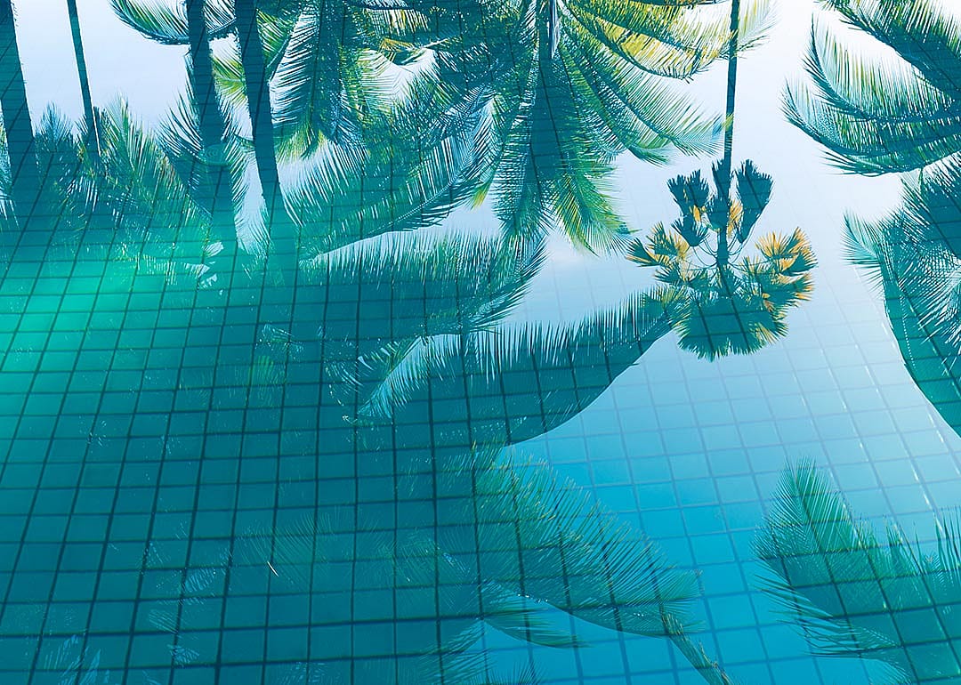 View of bottom of tiled pool with reflections of palm trees in the still water.