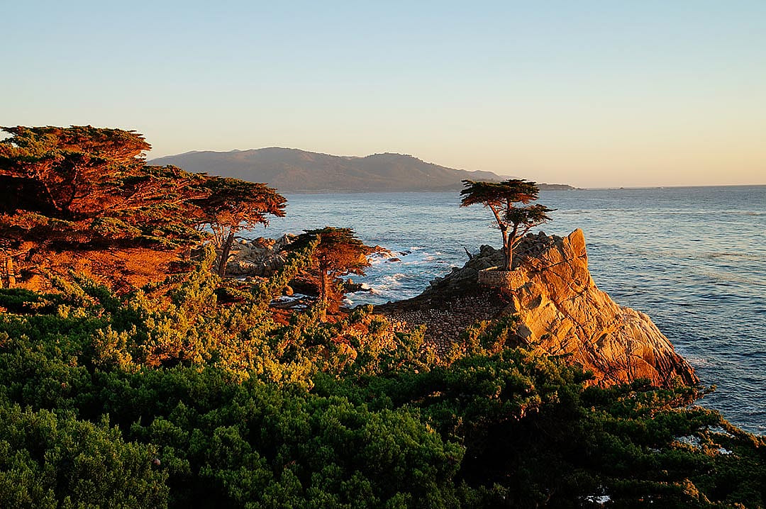 Sunset on the California coast lights the lone cypress on the 17-mile-drive near Carmel-by-the-sea.