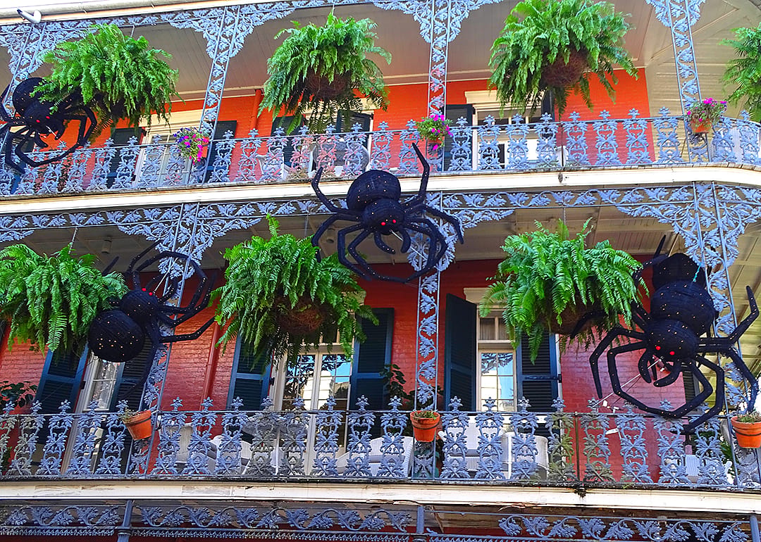 Giant black spiders as halloween decorations.
