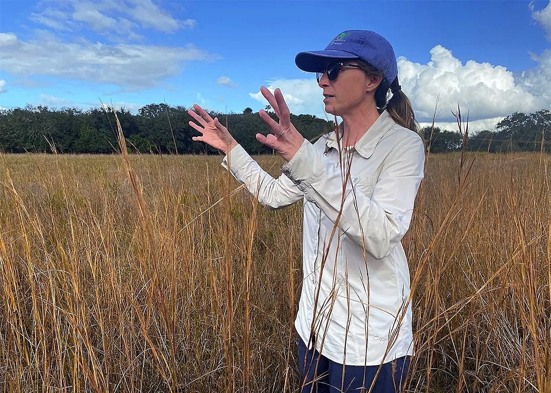Agroecologist Elizabeth Boughton gestures to a grassy field of bluestems and sedges on Buck Island Ranch.