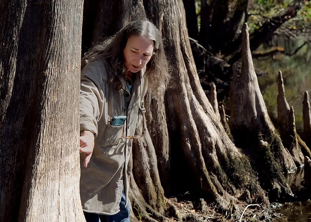 Merrillee Malwitz-Jipson points to watermarks on a tree on the banks of the Santa Fe River.