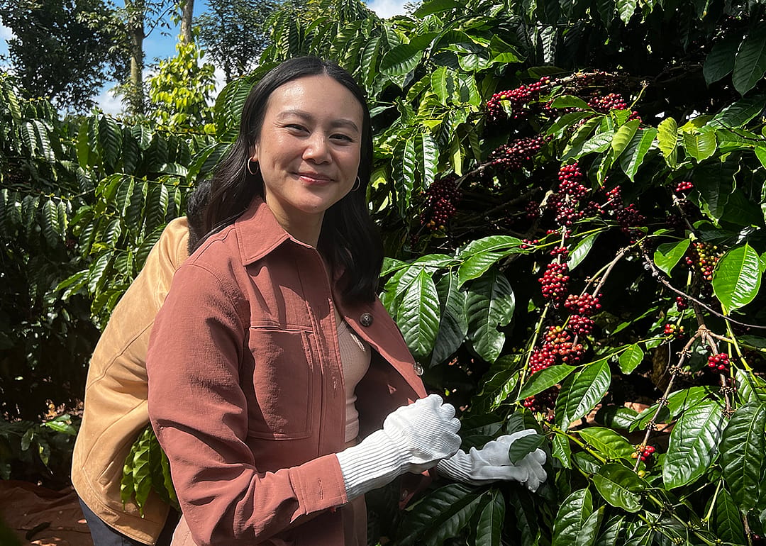 Nguyen Coffee Supply founder, Sahra Nguyen, posing for a photograph while harvesting robusta coffee.