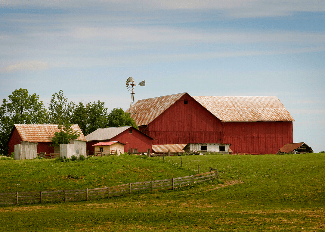 #6. Mercer County and Auglaize County