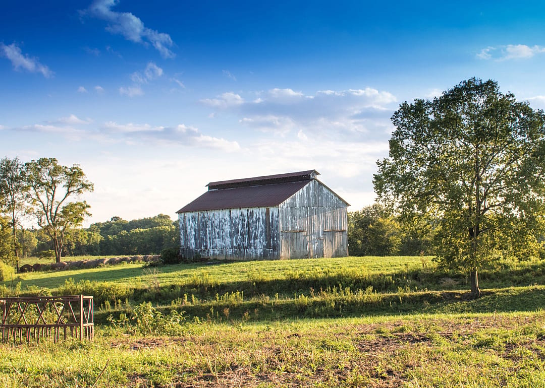 #21. Brown County