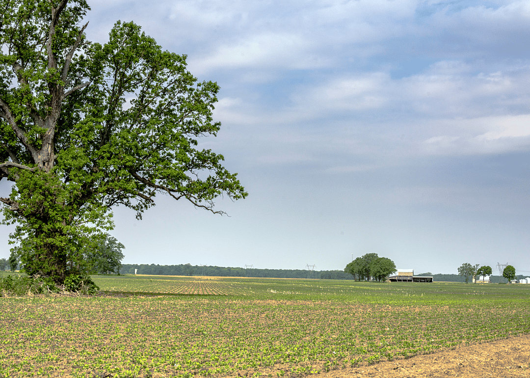 #18. Darke County