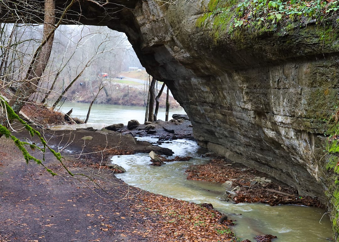#41. Russell County