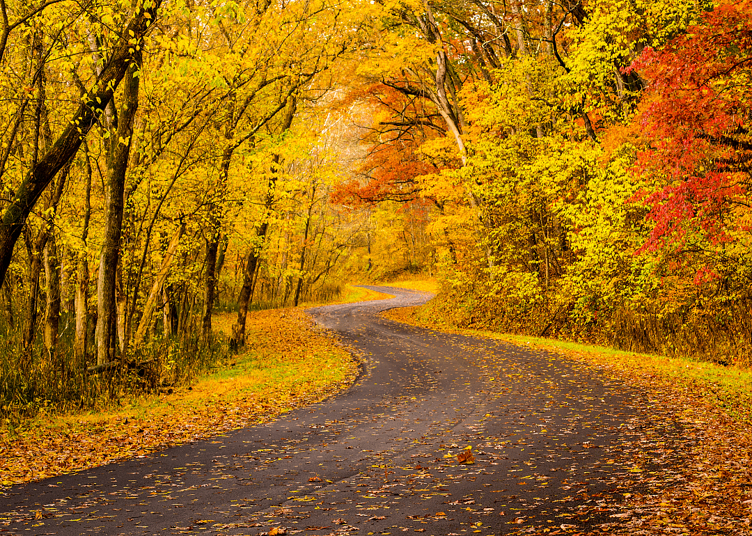 #30. Trumbull County