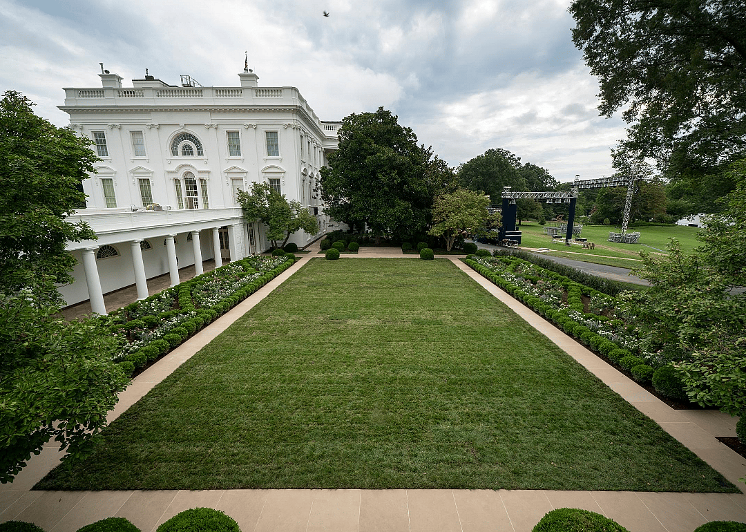 2020: Rose Garden revamped