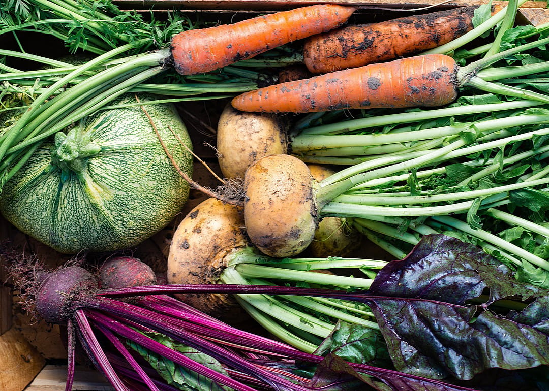 Less than 1% of US farmland is organic
