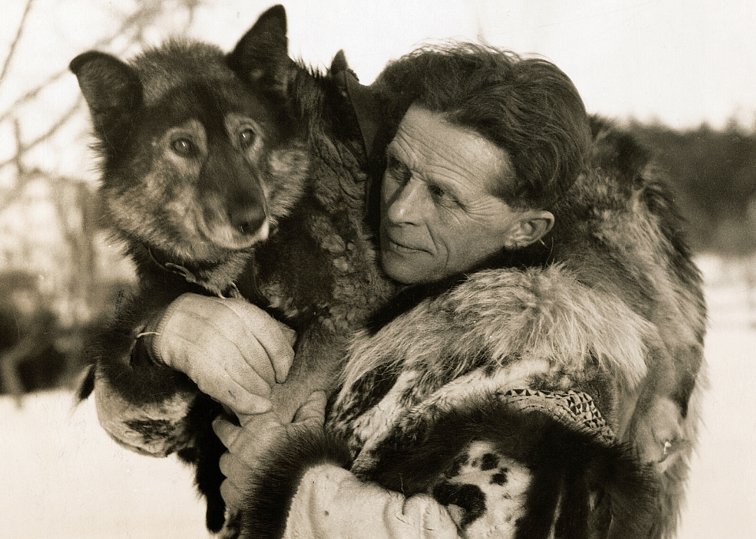 Togo the sled dog saves lives