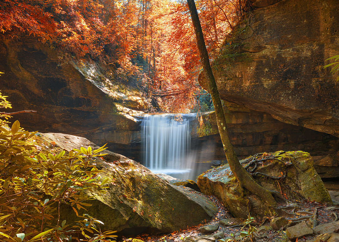#16. Whitley County
