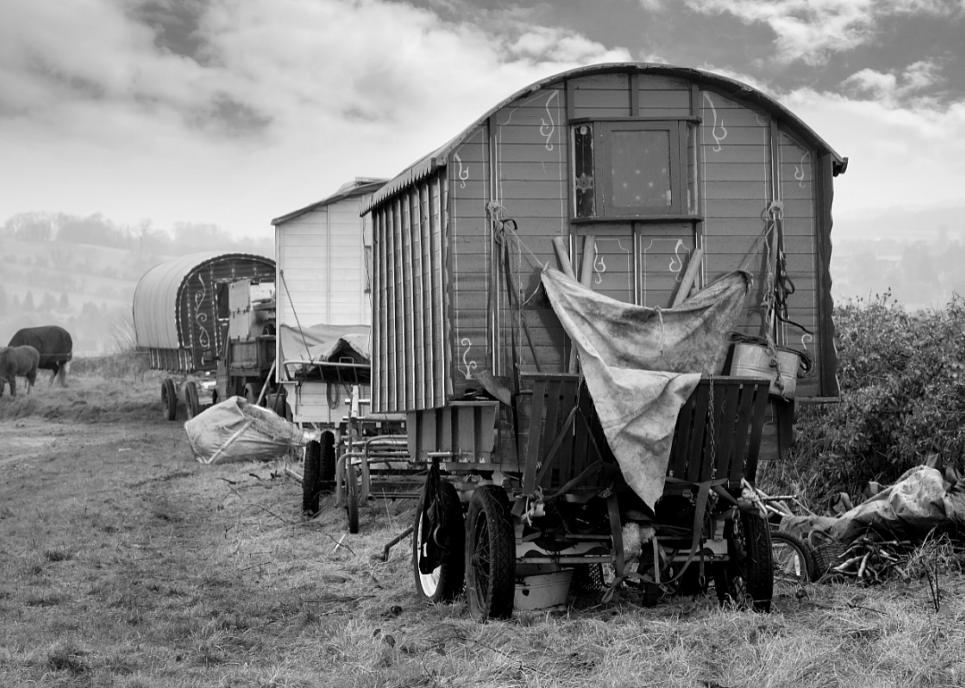 A wagon.