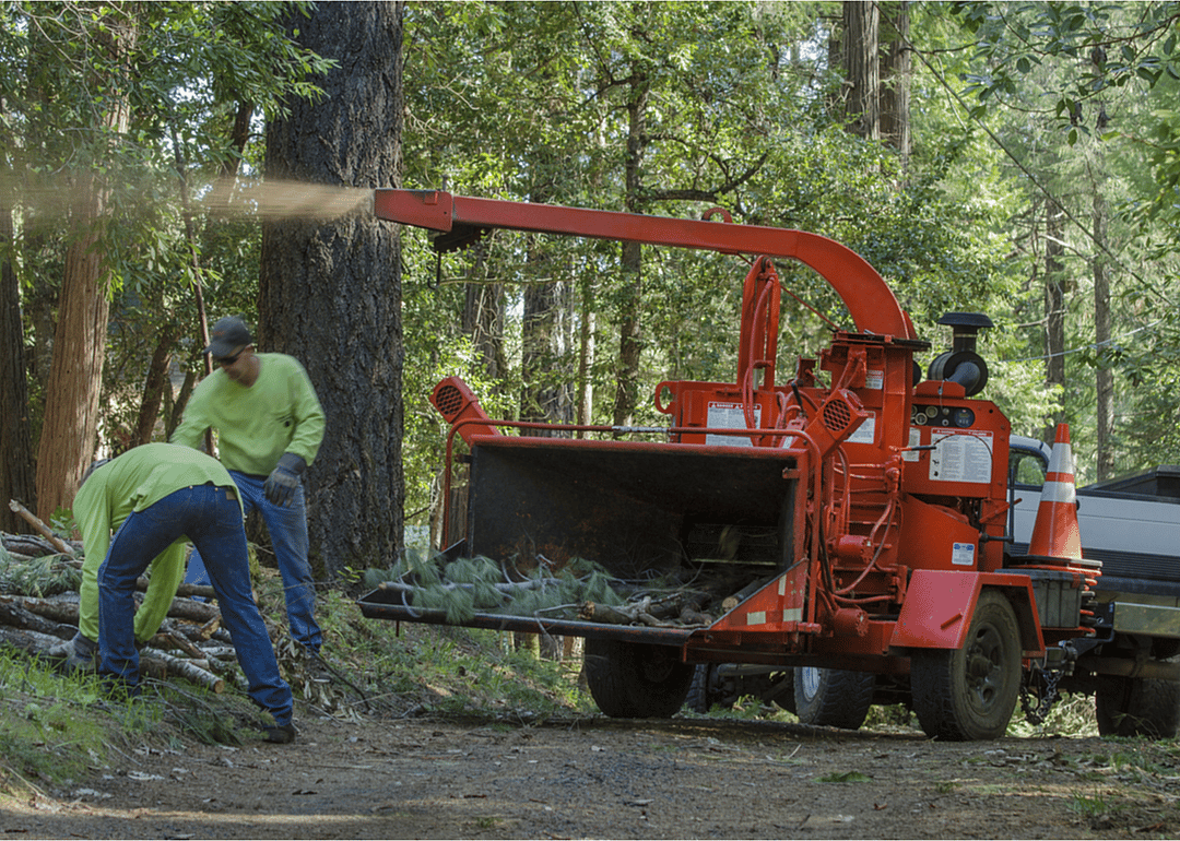 #36. Forest fire inspectors and prevention specialists