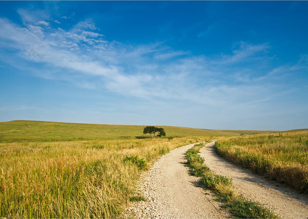 #29. Kansas