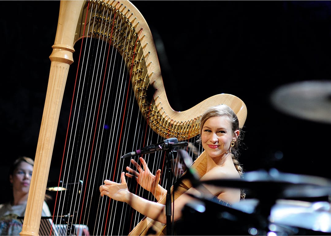 'Sawdust & Diamonds' by Joanna Newsom