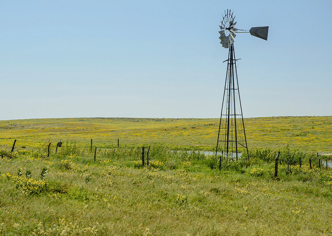 #18. Wichita County