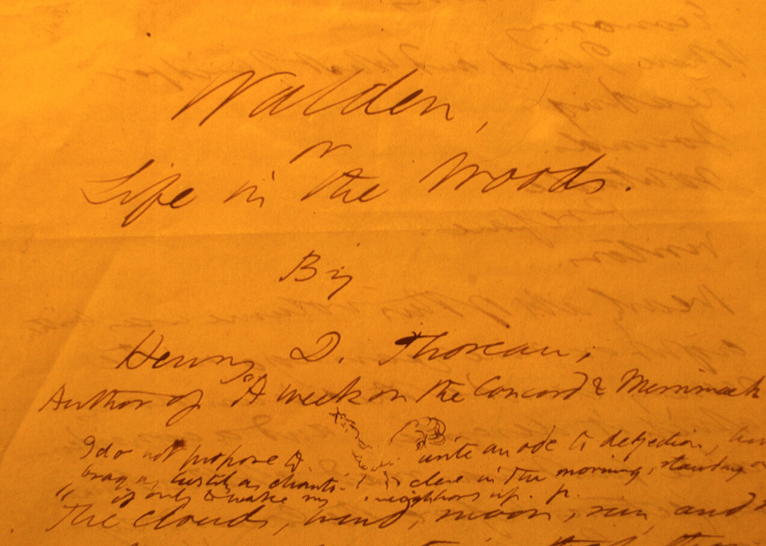 ‘Walden; or, Life in the Woods’ by Henry David Thoreau