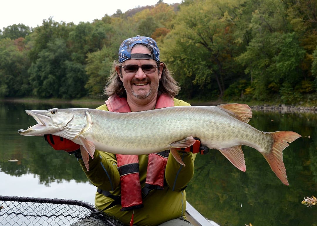 Muskellunge