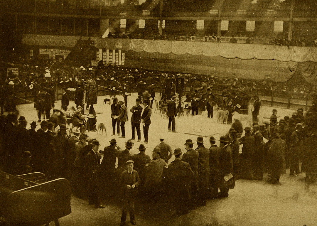 1877: First Westminster Kennel Club Dog Show