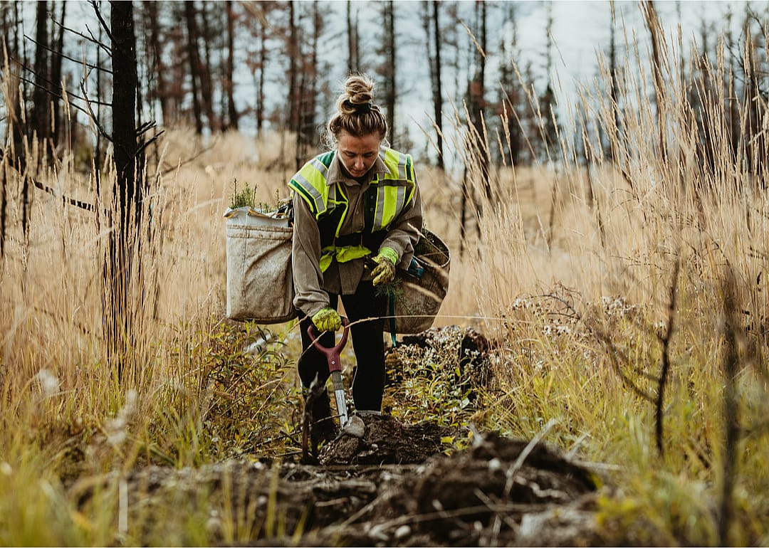 #34. Forest and conservation workers