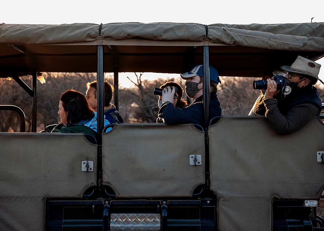 South African safari